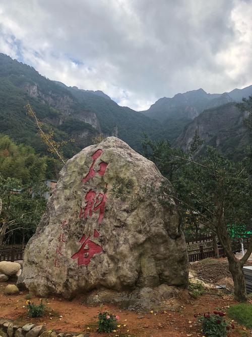 28项雄,王燕敏夫妇带着我去长山头石斛种植基地,下午又去龙西石斛旅游